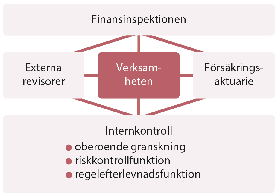 Schematisk bild över vår kontroll och tillsyn fungerar.PNG