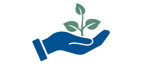 En kupad hand med en växande planta.