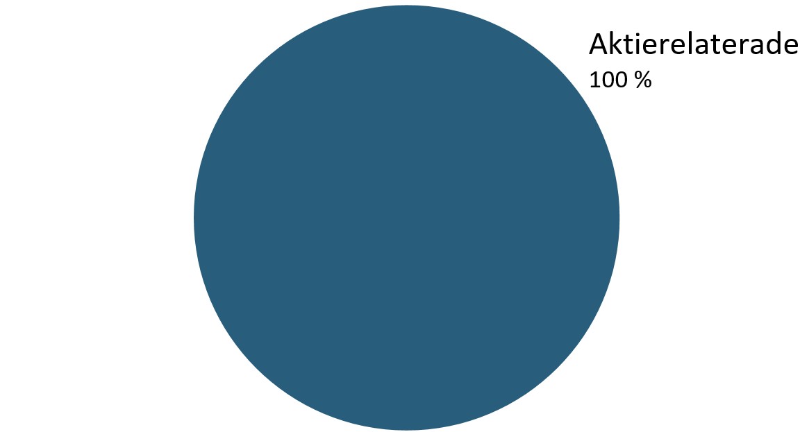 Tillgångsfördelning Aktieval .jpg