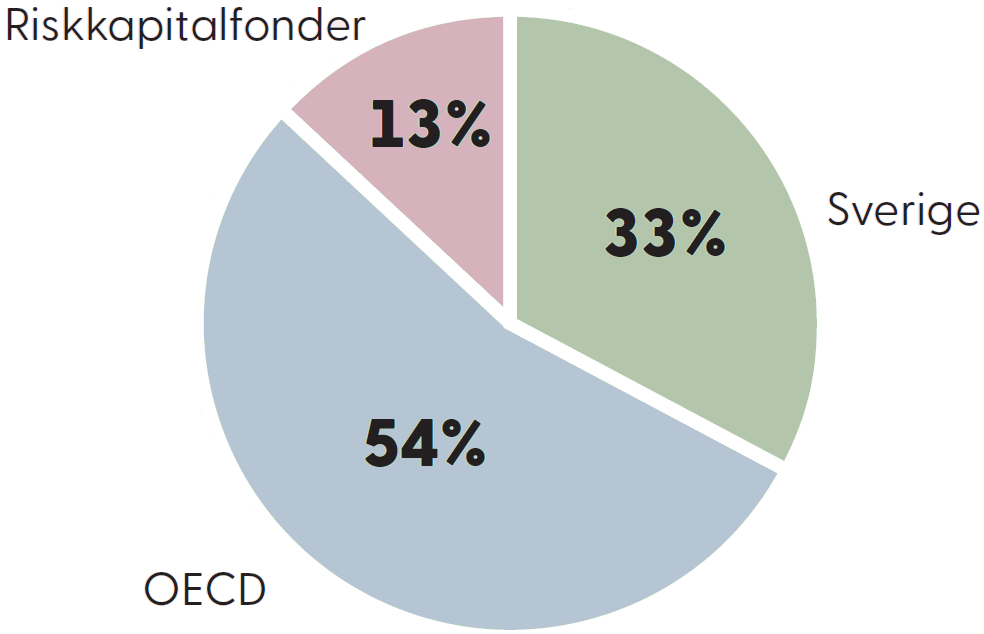 Fördelning aktierelaterade tillgångar.png